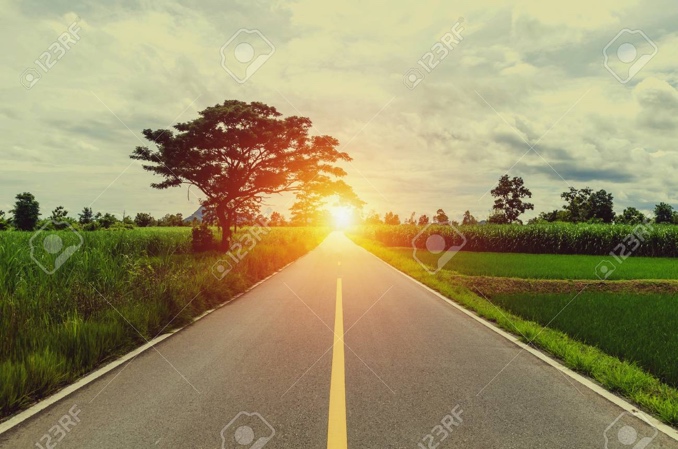 sunny_road.jpg